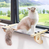 Cat Hammock